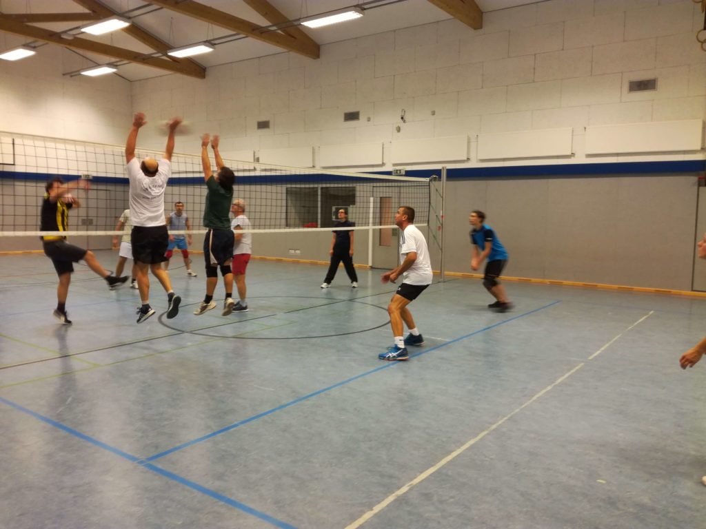 Volleyball Sportfreunde Grande-Kuddewörde
